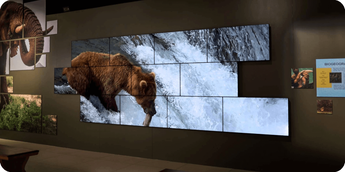 powerful video wall and multiview processing via one device