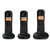 BT Everyday DECT Phone - Trio (TAM