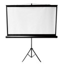BRATECK 112'' Projector Screen