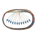 DYNAMIX 2M LC Pigtail G657A1 12 Pk Colour Coded, 900um Single-mode Fibre, Tight Buffer LSZH Jacket