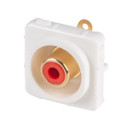 AMDEX Red RCA to Solder Connector. Gold Plated