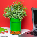 Super Mario Plant & Pen Pot