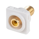AMDEX Yellow RCA to F Connector. Gold Plated    