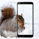 Google   Google Pixel 3a         Clear Tempered Glass Screen Protector