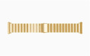 Fitbit Ionic      Stainless Steel Strap   Gold
