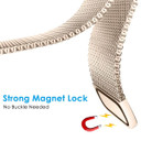 Fitbit Inspire 3      Milanese Loop Strap   Gold