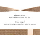 Fitbit Inspire 3      Milanese Loop Strap   Gold