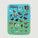 Moana Road Puzzle [ Animals of Aotearoa - 787]