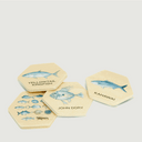 Moana Road Memory Game [ NZ Fishing Club - 9023]