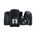 Canon EOS 250D DSLR Camera [ EF-S 18-55mm F4-5.6 IS STM Lens Kit ]