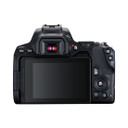 Canon EOS 250D DSLR Camera [ EF-S 18-55mm F4-5.6 IS STM Lens Kit ]