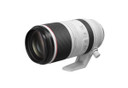 Canon RF 100-500mm F4.5-7.1 L IS USM Lens