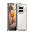Oneplus 13 Soft Gel Case [Clear Grey]