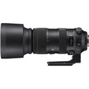 Sigma 60-600mm F4.5-6.3 DG OS HSM | Sport