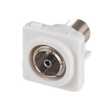 AMDEX PAL to F Connector insert for AMDEX Face Plates. AMDEX style.