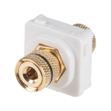 AMDEX Black Speaker Binding Post. Gold Plated