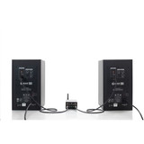 Skaa Pro Receiver Streetheart Pro Audio Bal 6.3Mm Connector