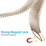 Fitbit Inspire 3      Milanese Loop Strap   Gold