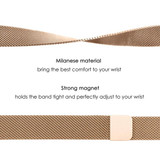 Fitbit Inspire 3      Milanese Loop Strap   Gold