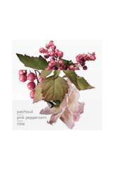 Hermes Twilly d'Hermes Eau Poivrée [50ml]