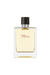 Hermes Terre D'Hermes EDT (M) [100ml]