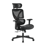 BRATECK SpineX Ergonomic Office Chair with Posture Enhancement. Human Engineering Curved Design, Breathable Mesh Back, Height Adjustable Armrests, Non-Marking Casters, Adjustable Headrest.