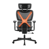 BRATECK SpineX Ergonomic Office Chair with Posture Enhancement. Human Engineering Curved Design, Breathable Mesh Back, Height Adjustable Armrests, Non-Marking Casters, Adjustable Headrest.