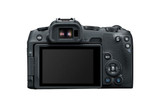 Canon EOS R8 Mirrorless Camera [ Body ]