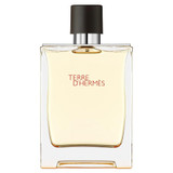 Hermes Terre DHermes EDT M