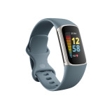 Fitbit Charge 5 Stainless Steel case
