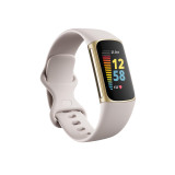 Fitbit Charge 5 Stainless Steel case