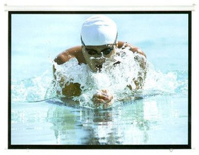 BRATECK 100'' Projector Screen