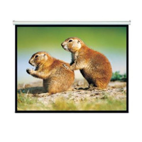 BRATECK 150'' Projector Screen - Manual Self Locking - Matte Finish. 4:3 Aspect ratio