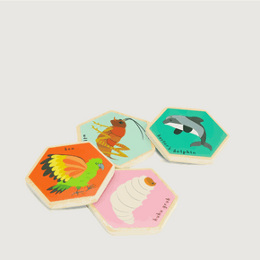 Moana Road Memory Game [ NZ Animals - 9020]