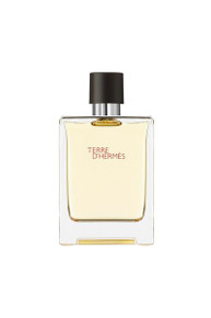 Hermes Terre D'Hermes EDT (M) [100ml]