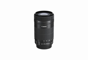 Canon EF-S 55-250mm F4-5.6 IS STM Lens