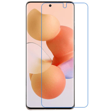 Xiaomi 12 Lite Screen Protector Flat Plastic