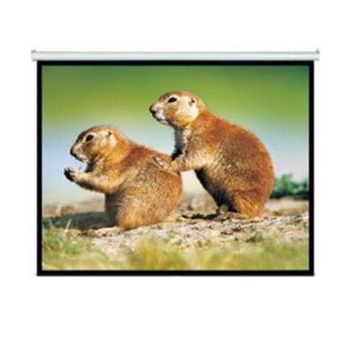 BRATECK 150'' Projector Screen - Manual Self Locking - Matte Finish. 4:3 Aspect ratio