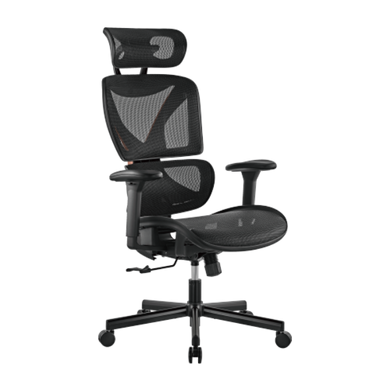 BRATECK SpineX Ergonomic Office Chair with Posture Enhancement. Human Engineering Curved Design, Breathable Mesh Back, Height Adjustable Armrests, Non-Marking Casters, Adjustable Headrest.