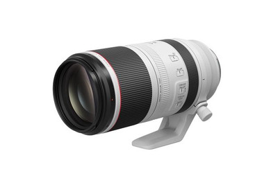 Canon RF 100-500mm F4.5-7.1 L IS USM Lens