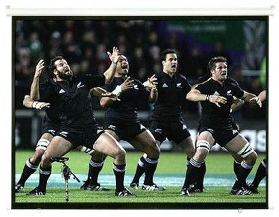 BRATECK 108'' Projector Screen