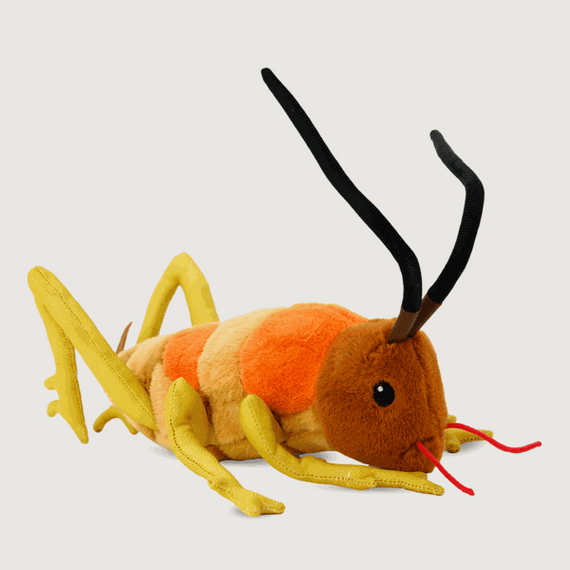 Moana Road Soft Toy - Wiremu the Weta [  - 9135]