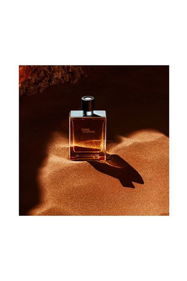 Hermes Terre D'Hermes EDT (M) [100ml]