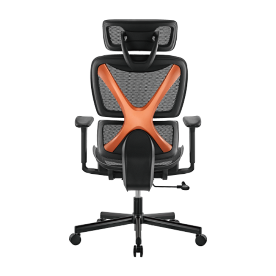 BRATECK SpineX Ergonomic Office Chair with Posture Enhancement. Human Engineering Curved Design, Breathable Mesh Back, Height Adjustable Armrests, Non-Marking Casters, Adjustable Headrest.