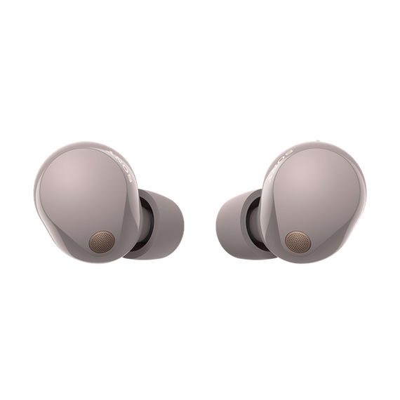 Sony WF-1000XM5 Wireless Noise Canceling Headphones [Smoky Pink]