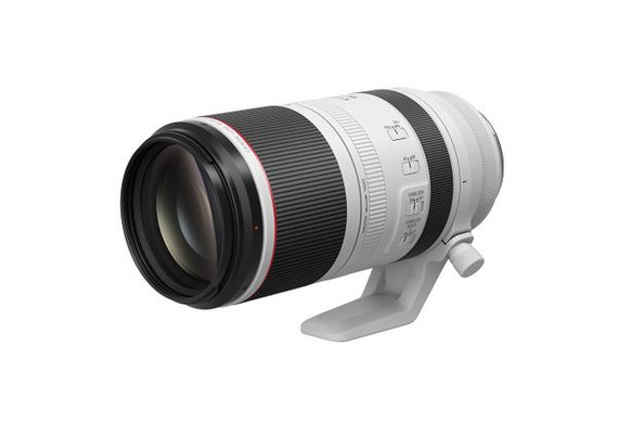 Canon RF 100-500mm F4.5-7.1 L IS USM Lens
