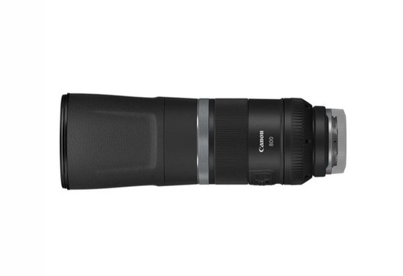Canon RF 800mm F11 IS STM Lens