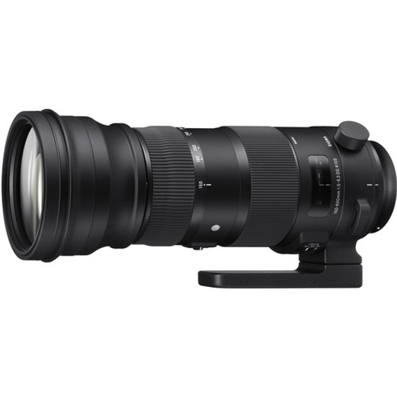 Sigma 150-600mm f/5-6.3 DG OS HSM | Sport