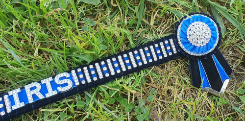 Design Your Own Mega Bling Name Browband