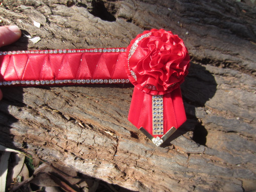 Colour Block Diamante Browband  Red